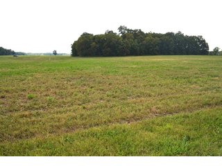 Dekalb County, Indiana Farmland - MAJOR LAND AUCTION - 516+/- ACRES OFFERED IN 18 TRACTS OR COMBINATIONS IN DEKALB COUNTY, INDIANA